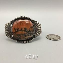 A Vintage Fred Harvey Era Petrified Wood and Sterling Silver Cuff Bracelet