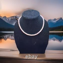 Naomi Garcia Navajo Handmade Pink Conch 18 In Necklace Valued $200.00 4 mm