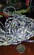 Vintage Authentic Purple White Quahog Wampum Rare Jewelry Beads- Strand of 50