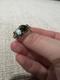 Vintage Sterling Silver And Yellow Gold Native Opal And Garnet Ring