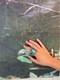 Vtg Signed WB Navajo GreenBlue Turquoise Sterling Silver Ring Size 5.25 10.18g